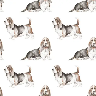 Basset Pattern 2