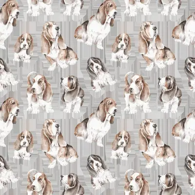 Basset Pattern 3