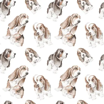 Basset Pattern 4