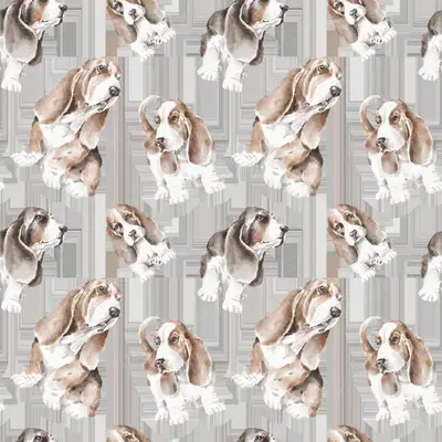 Basset Pattern 4