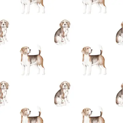 Beagle Pattern 3