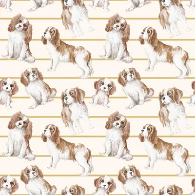 Cavalier Design 1 - Stripes - Ecru