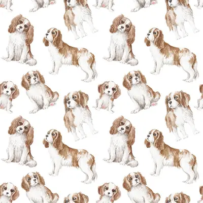 Cavalier Pattern 2
