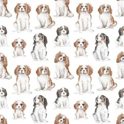 Cavalier Pattern 3