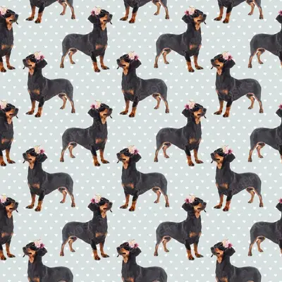 Dog5 Dachshunds Paper10