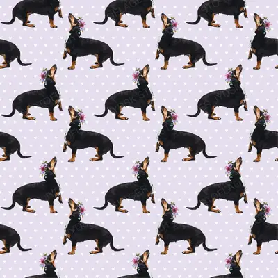 Dog5 Dachshunds Paper11