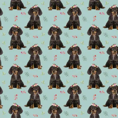Dog5 Dachshunds Paper13