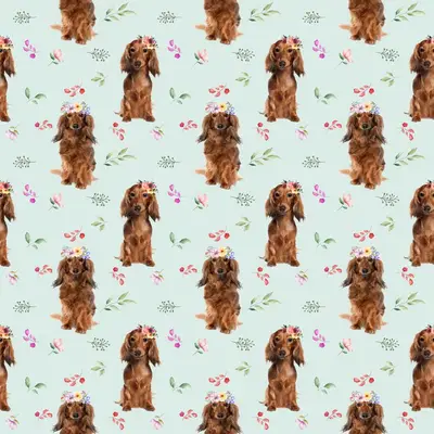 Dog5 Dachshunds Paper14