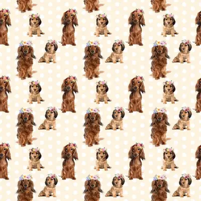 Dog5 Dachshunds Paper3