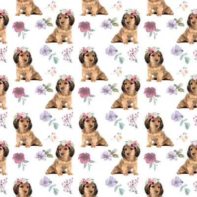 Dog5 Dachshunds Paper5