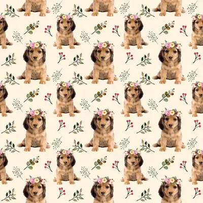 Dog5 Dachshunds Paper7