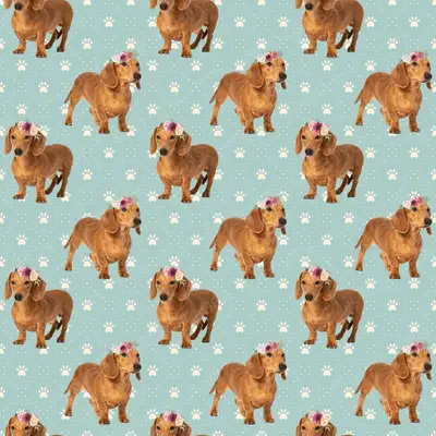Dog5 Dachshunds Paper9