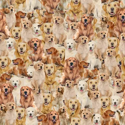 Golden Retreiver Design (300Dpi)