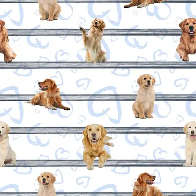 Golden Retrieber Pattern 2