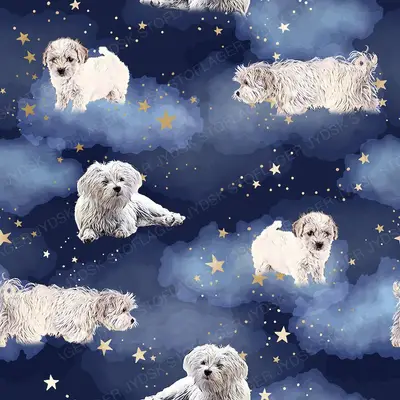 Malteser Hunde | Nattehimmel-Kopi