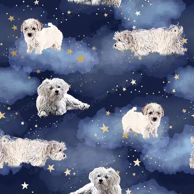 Malteser Hunde | Nattehimmel