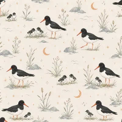 Oystercatchers on Cream