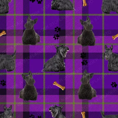Scottish Terrier Design 1