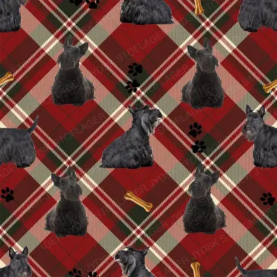 Scottish Terrier Design 4