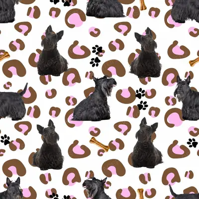 Scottish Terrier Design 5
