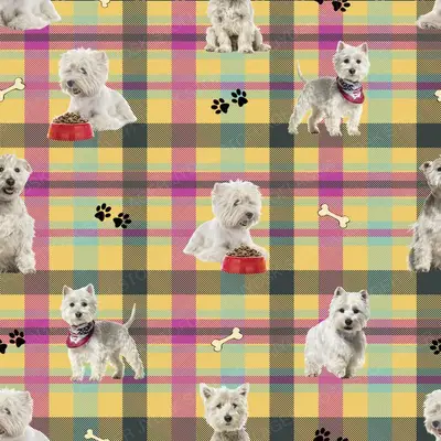 Westie Seamless V4-Kopi