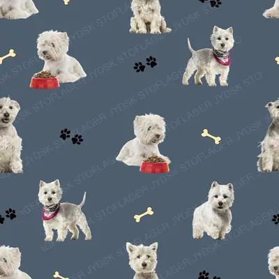 Westie (Westie Dogs)