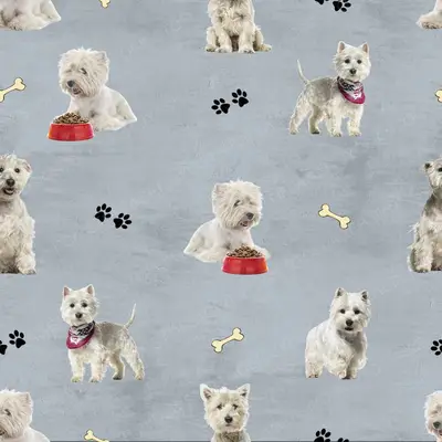 Westie Seamless V6-Kopi
