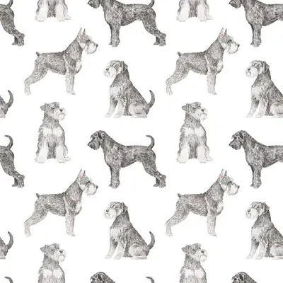 Zwergschnauzer Pattern 3