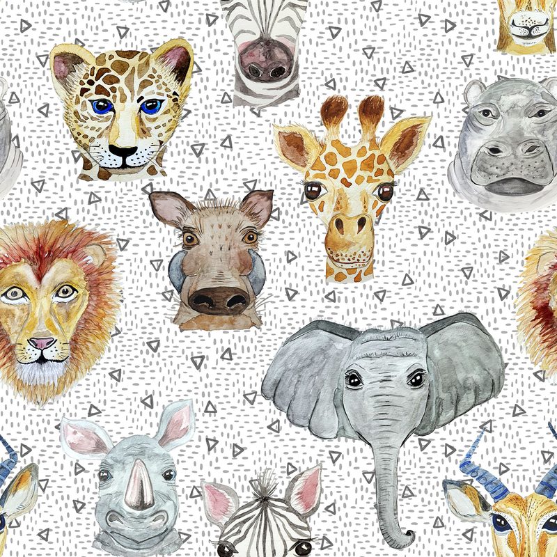 African Animals