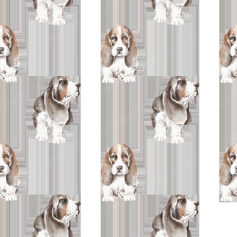 Basset Pattern 1