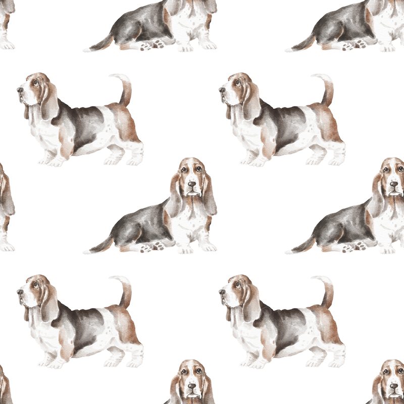 Basset Pattern 2