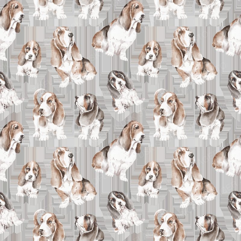 Basset Pattern 3