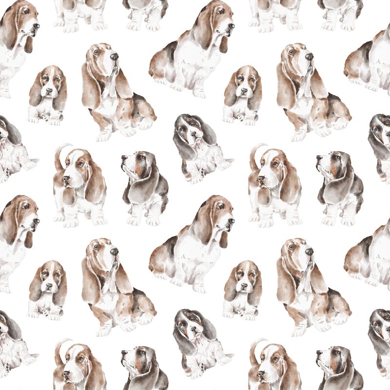 Basset Pattern 3