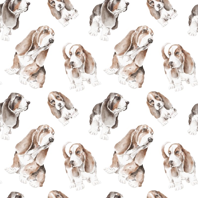 Basset Pattern 4