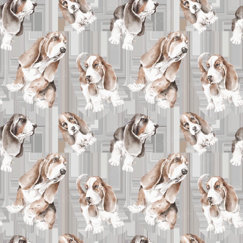 Basset Pattern 4