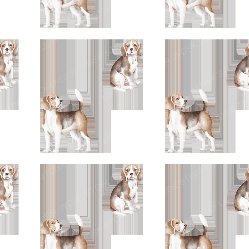 Beagle Pattern 3