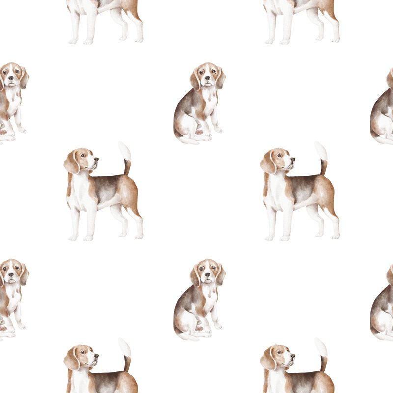 Beagle Pattern 3