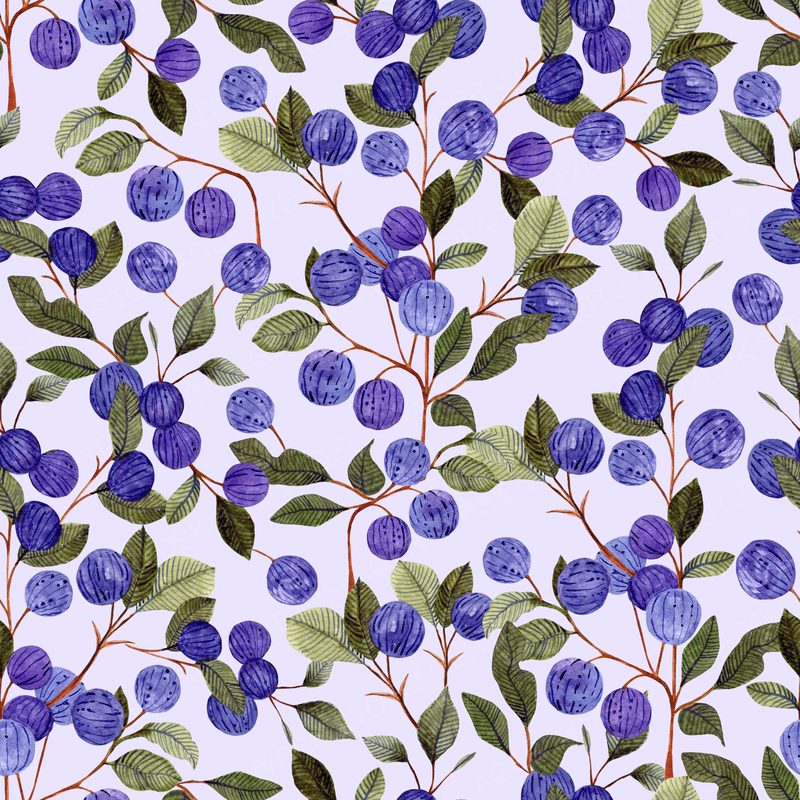 Blueberry Pattern2