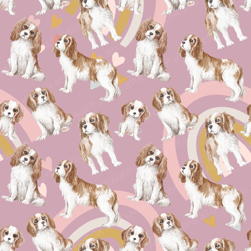 Cavalier Design 1 - Love Rainbow