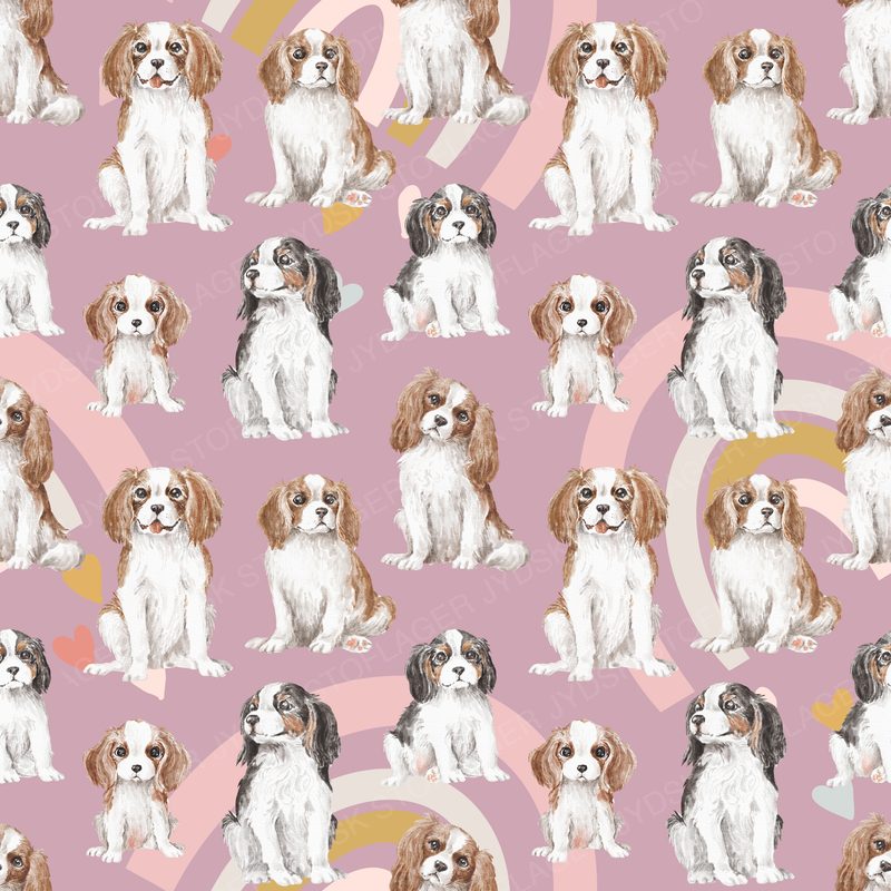 Cavalier Design 2 - Love Rainbow