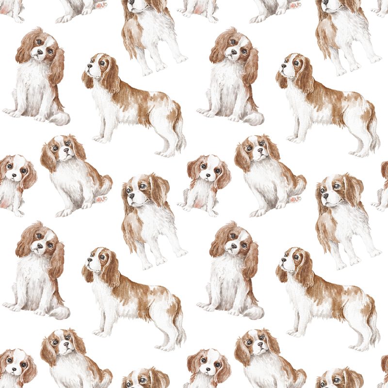 Cavalier Pattern 2