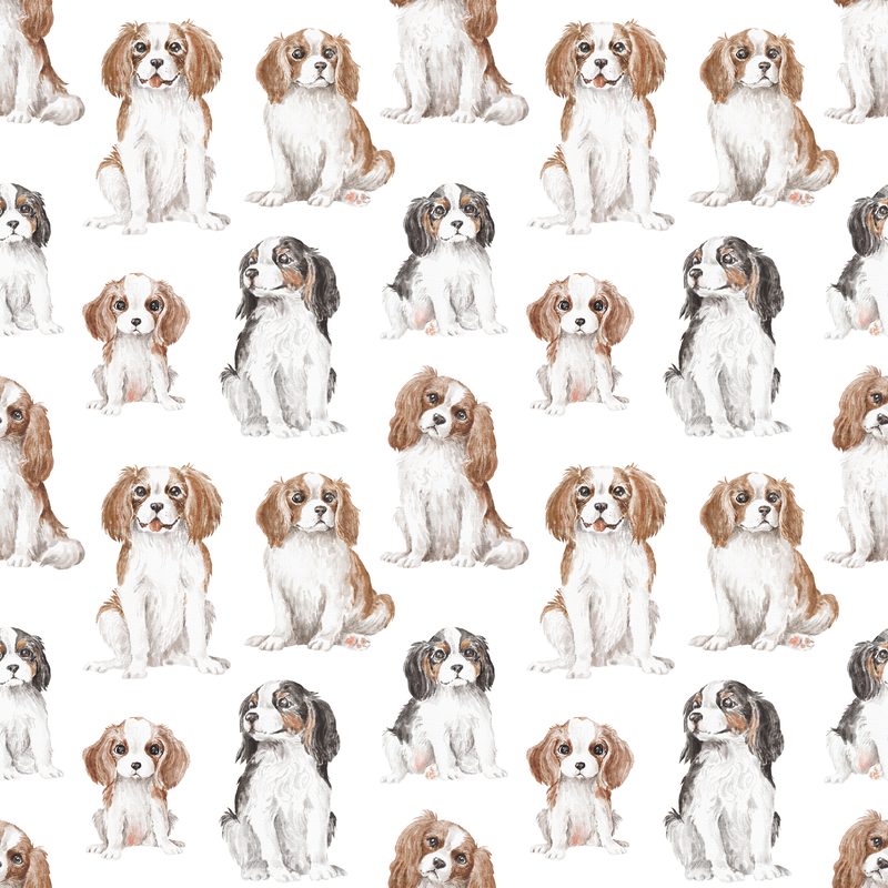 Cavalier Pattern 3