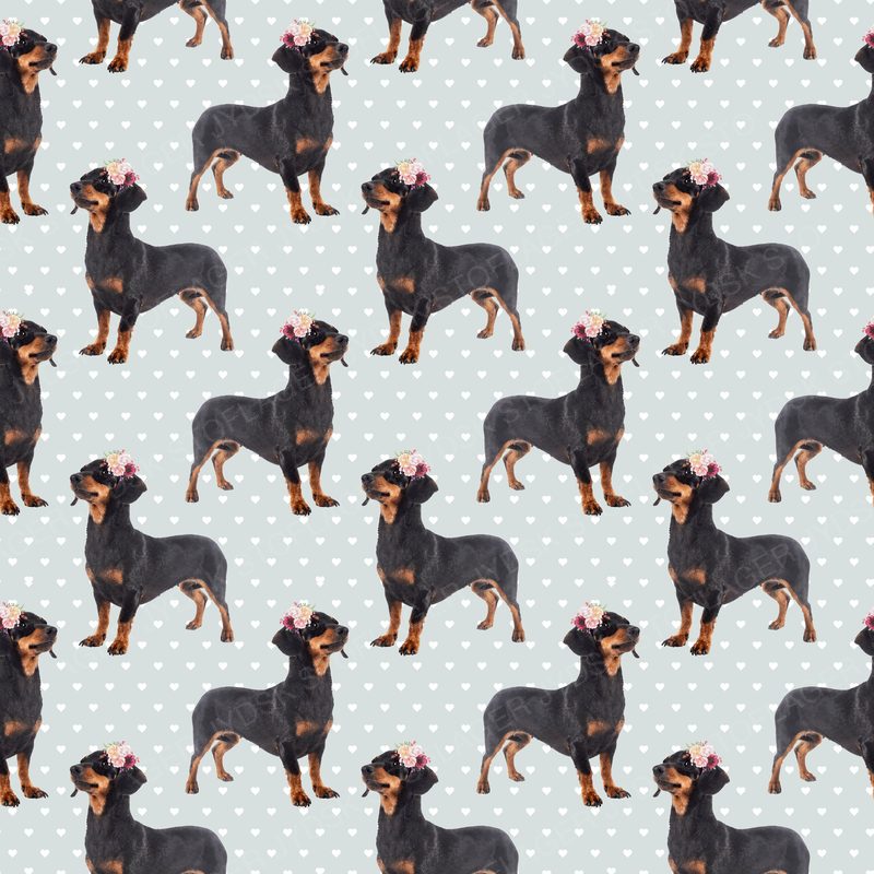 Dog5 Dachshunds Paper10