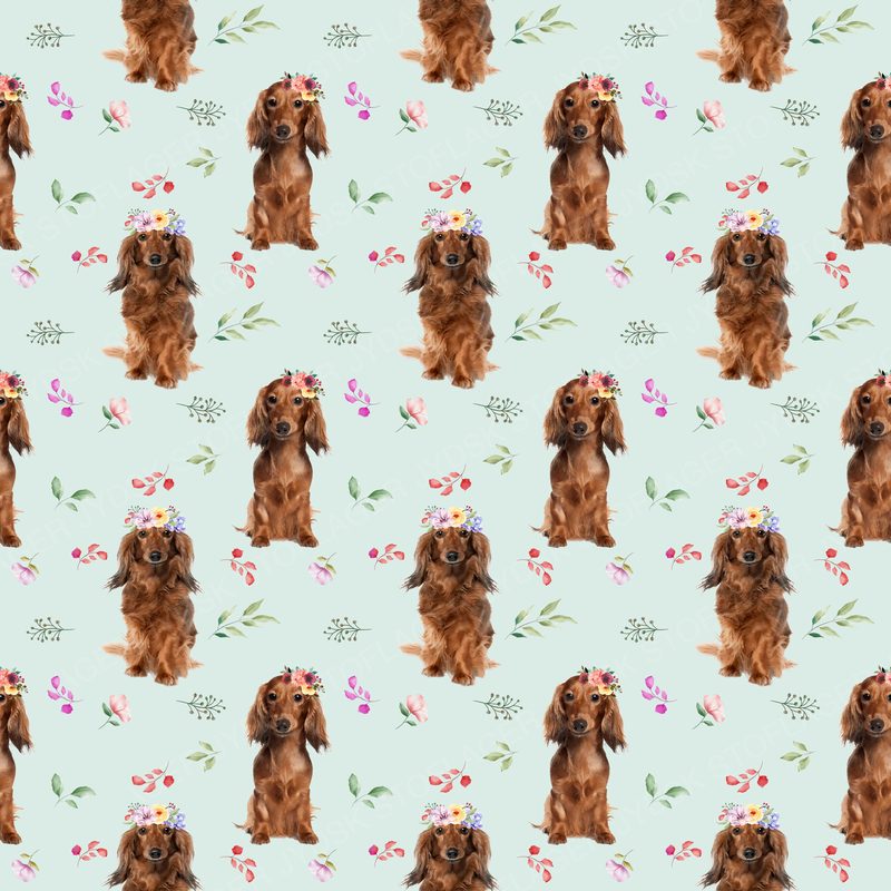 Dog5 Dachshunds Paper14