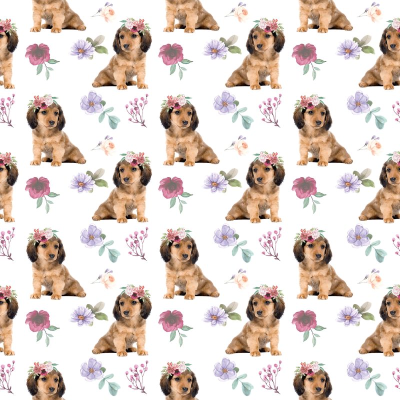 Dog5 Dachshunds Paper5