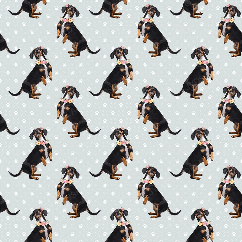Dog5 Dachshunds Paper6