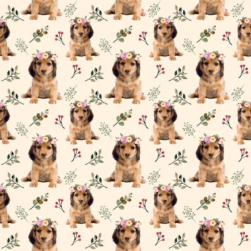Dog5 Dachshunds Paper7