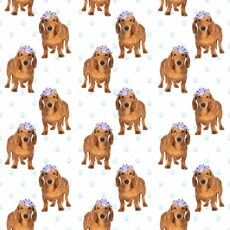 Dog5 Dachshunds Paper8