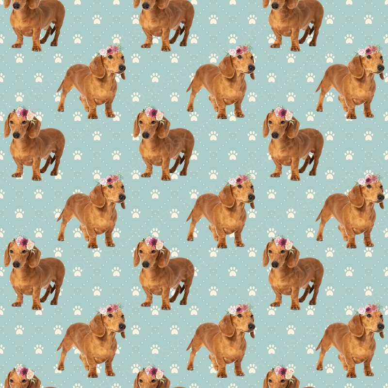 Dog5 Dachshunds Paper9