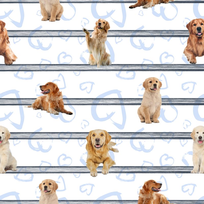 Golden Retrieber Pattern 2